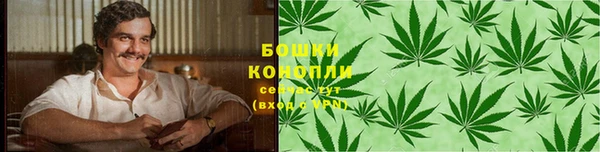 ALPHA PVP Белокуриха