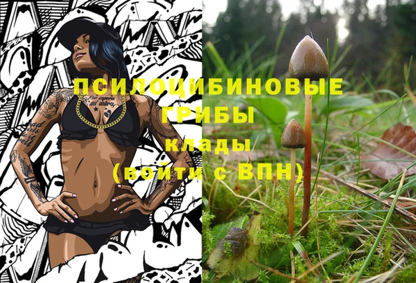 МДМА Богородицк