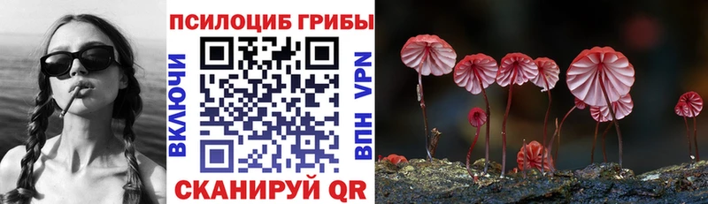 Галлюциногенные грибы Psilocybine cubensis  цены   Берёзовка 